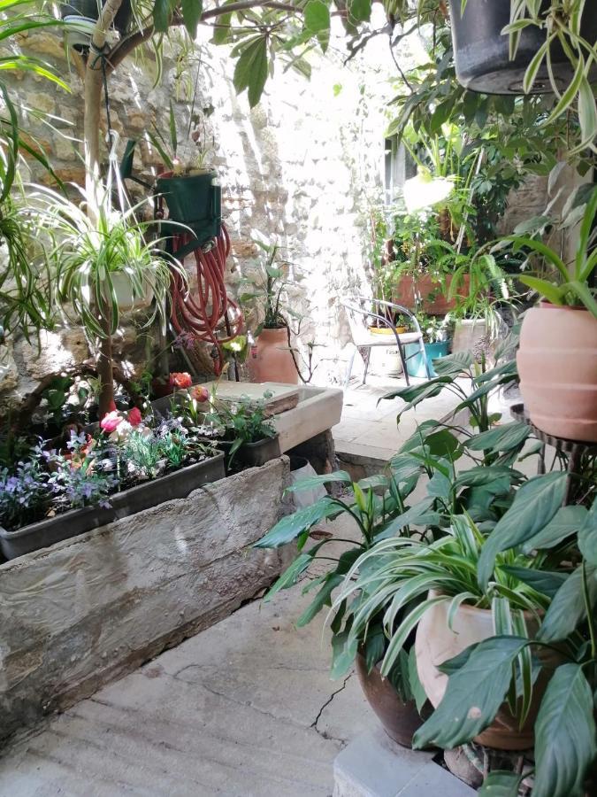 Adriana Downtown Guesthouse Split Zewnętrze zdjęcie