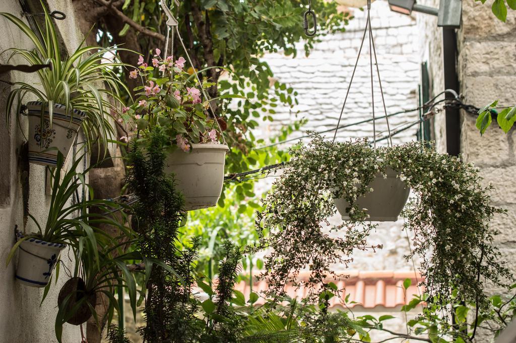Adriana Downtown Guesthouse Split Zewnętrze zdjęcie